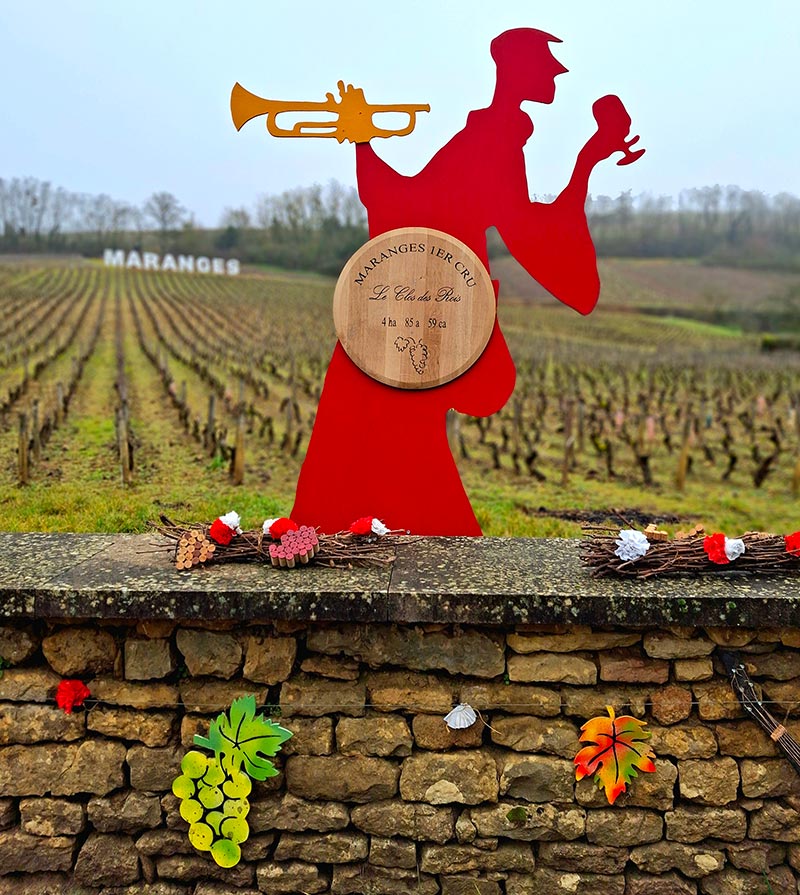 maranges-vue-sur-les-vignes